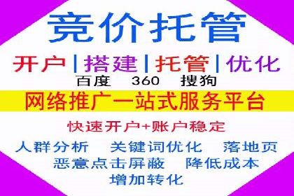 SEM服务公司经典案例集锦